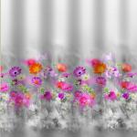 Штора с рисунком, РОЗОВЫЕ ГЕРБЕРЫ, в ванную комнату, без колец, полиэстэр